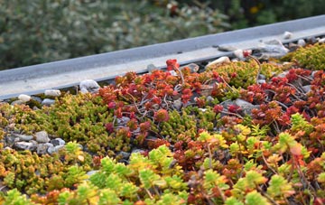 the cost of Kirk Bramwith green roof installation