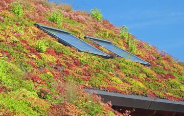 Kirk Bramwith living roof systems